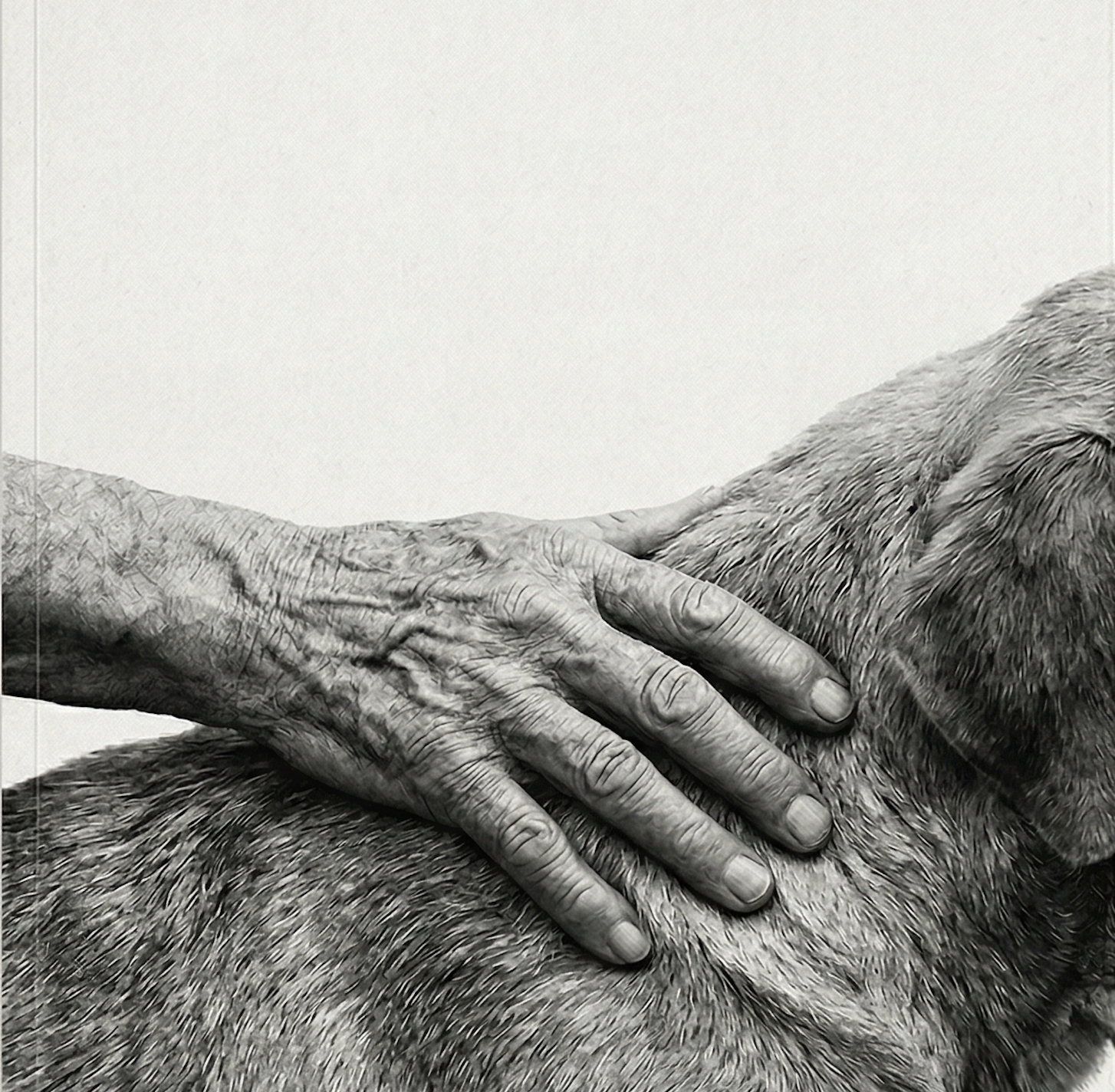 perro con anciano